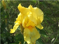 125258de-Picture 006.jpg